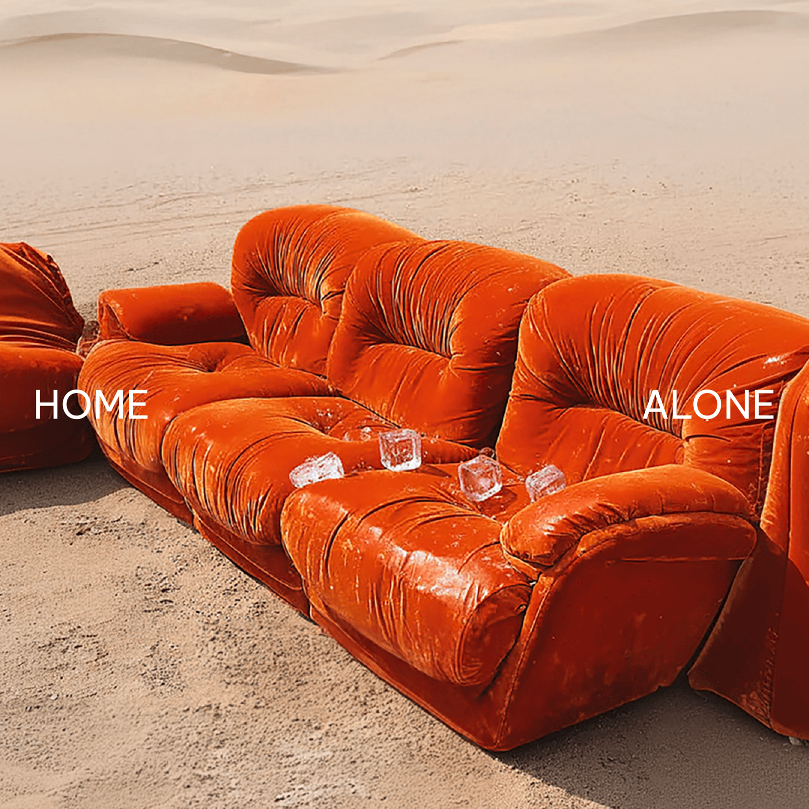 NP_homealone_cover_square_small